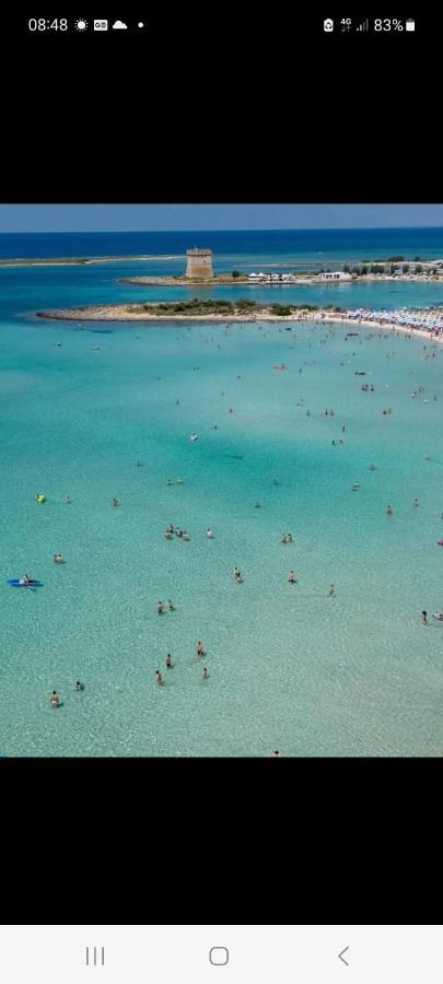 Mon Amour Lägenhet Porto Cesareo Exteriör bild